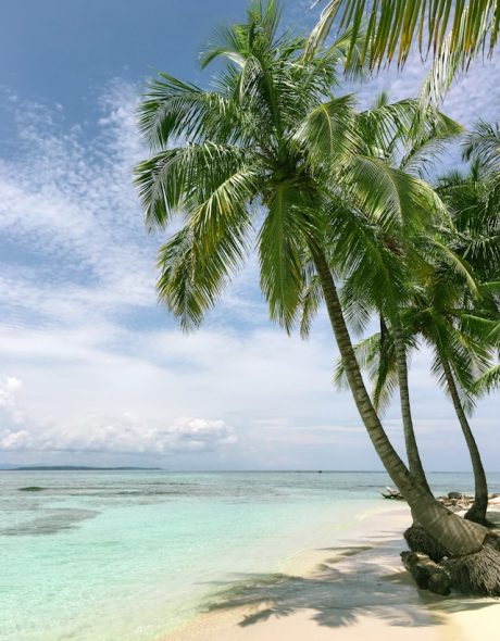 maarten-van-den-heuvel-Siuwr3uCir0-unsplash